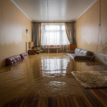 South Carolina Water Damage Restoration